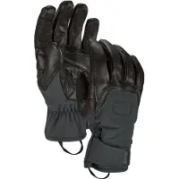 Ortovox Alpine Pro Glove Guanti (S, nero)