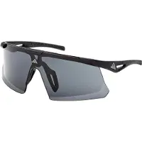 Adidas Dunamis Evo-S S3 Occhiali da corsa grigio