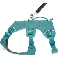 Ruffwear Web Master Harness Imbracatura per cani (M, verde)