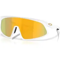 Oakley RSLV 141 S3 Occhiali da ciclismo variopinto
