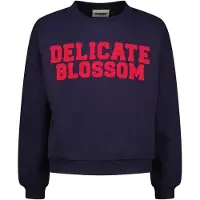 Raizzed Girls Sem Sweater Deep Dark Blue Taglia: 14 | Maglioni Outlet | Unisex | Blu