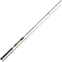 Daiwa Canna Jigging Crosscast Shore Game I