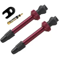 Pnk Valvole Tubeless Presta 2 Unità
