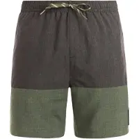 Protest PRTCabus Pantaloncino da bagno Uomo (XL, grigio/olivia)