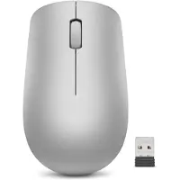 Lenovo Idg Mouse Wireless 530 Platinum