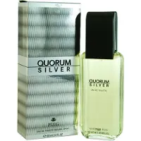 Antonio Puig Quorum Silver 100 ml Uomo — Eau de Toilette