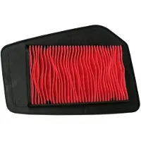 Champion Parts Filtro Dell´aria Caf0113 Honda Cbr 125 R 2004/2012