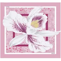 Liu Jo Sciarpa '2A6053 T2745' rosa chiaro