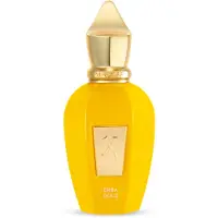 XERJOFF Erba Gold 50 ml — Eau de Parfum