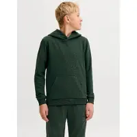 Jack & Jones Felpa Con Cappuccio Semplice Boys