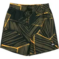 Quiksilver Kid's Everyday Printed Volley 14'' Pantaloncino da bagno Bambini (128/134, olivia)