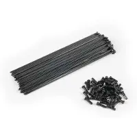 Eclat Kit Di Raggi E Nippli Pg 40 Unità