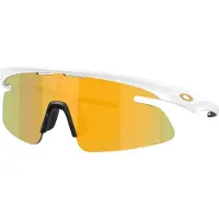 Oakley RSLV Lite S3 Occhiali da ciclismo variopinto