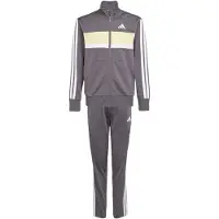 Adidas Tuta Seasonal Essentials Tiberio 3 Stripes Tricot
