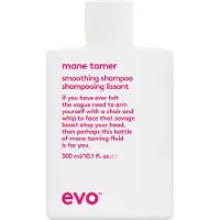 Evo Smooth Shampoo Lisciante 300ml