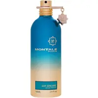 Montale Day Dreams 100 ml — Eau de Parfum