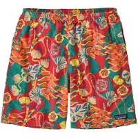 Patagonia Baggies Longs Pantaloncini Uomo (XL, variopinto)