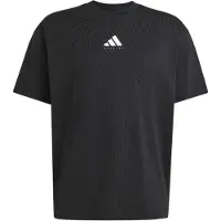 Adidas Running Category Graphic T-Shirt Maglia da corsa Uomo (XL, nero)