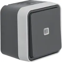 Berker Commutatore illuminato grigio chiaro 30763525