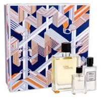 Hermès Paris Hermès Terre D'Hermès 100 ml Uomo — Eau de Toilette