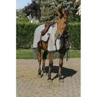 Ekkia Tappeto Riding World fly grigio, QHP17_size:155
