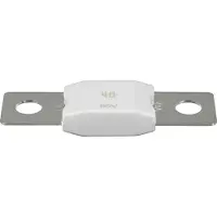 Victron Energy Victron DC MEGA - fusibile 80A/80V