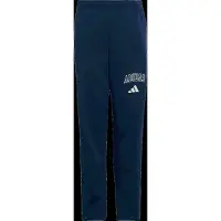 Adidas Kid's Seasonals Collegiate Typography Pants Pantaloni da allenamento Bambini (152, blu)