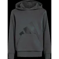 Adidas Kid's Essentials Hoodie Felpa con cappuccio Bambini (140, grigio)