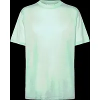 Icebreaker Women's Merino 150 Tech Lite S/S Relaxed Tee Maglia merino Donna (L, verde)