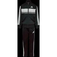 Adidas Completo per l'allenamento 'Seasonal Essentials Tiberio' grigio / nero / bianco