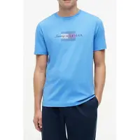 Tommy Hilfiger Script Flag Regular Tee Blue Spell Taglia: L | T-shirt stampate Outlet | Uomo | Blu