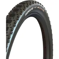 Maxxis Aspen ST 29'' (57-622) Exo TR MaxxSpeed Pneumatico da bicicletta (29'' x 2,25'' - 57-622, nero)