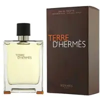 Hermès Paris Hermès Terre d'Hermès 100 ml — Eau de Toilette Uomo