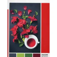 Clementoni Pantone Bacche di Goji 1000 pezzi — Puzzle
