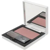 Diego Dalla Palma Milano 03 Marrone 5 g — Blush in Polvere