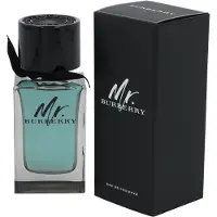 Burberry Mr. Uomo EDT 100ml — Eau de Toilette