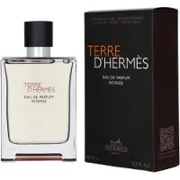 Hermès Paris Hermès Terre D'Hermès Eau de Parfum Intense 100 ml — Eau de Parfum Uomo