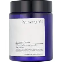 Pyunkang Yul Crema idratante 100 ml — Crema viso