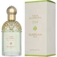 Guerlain Aqua Allegoria Nerolia Vetiver Donna 75 ml — Eau de Toilette