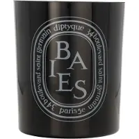 Diptyque Candela Baies 300g — Candela
