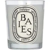 Diptyque Candela Baies 190g — Candela