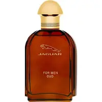 Jaguar Oud da uomo EDP 100ml
