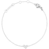 Daniel Wellington Bracciale In Acciaio Con Catena Capricorno Cristallo Zodiaco Dw00400940 — Bracciale