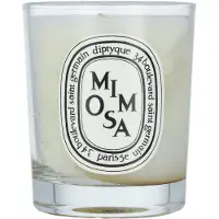 Diptyque Mimosa 70 g — Candela Profumata