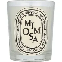 Diptyque Mimosa 190 g — Candela Profumata