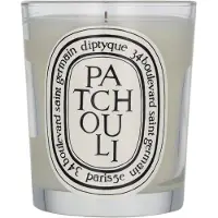 Diptyque Candela Patchouli 190g — Candela