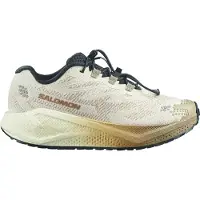 Salomon Women's Aero Blaze 4 GRVL Scarpe da corsa Donna (42, tapioca /nero)