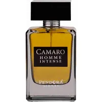 Paris Corner Camaro Homme Intense, eau de parfum, per uomo, 100 ml