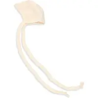 Engel Frühchen Häubchen Berretto Bambini (38/44, bianco)