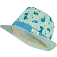 Sterntaler Kids' Straw Hat Dinosaur Cappello Bambini (55 cm, verde)